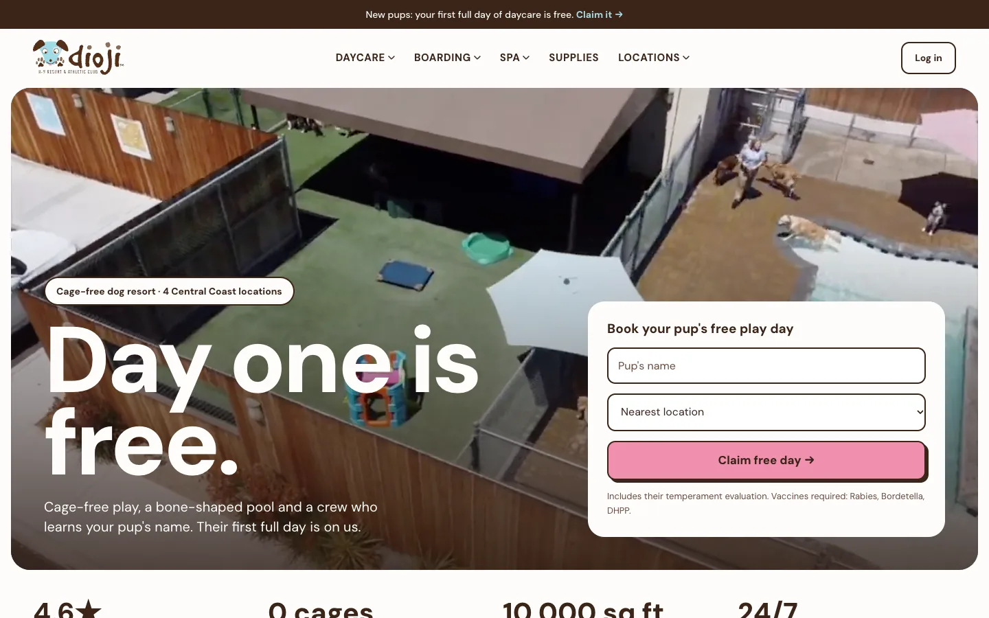 Dioji K-9 Resort website on desktop