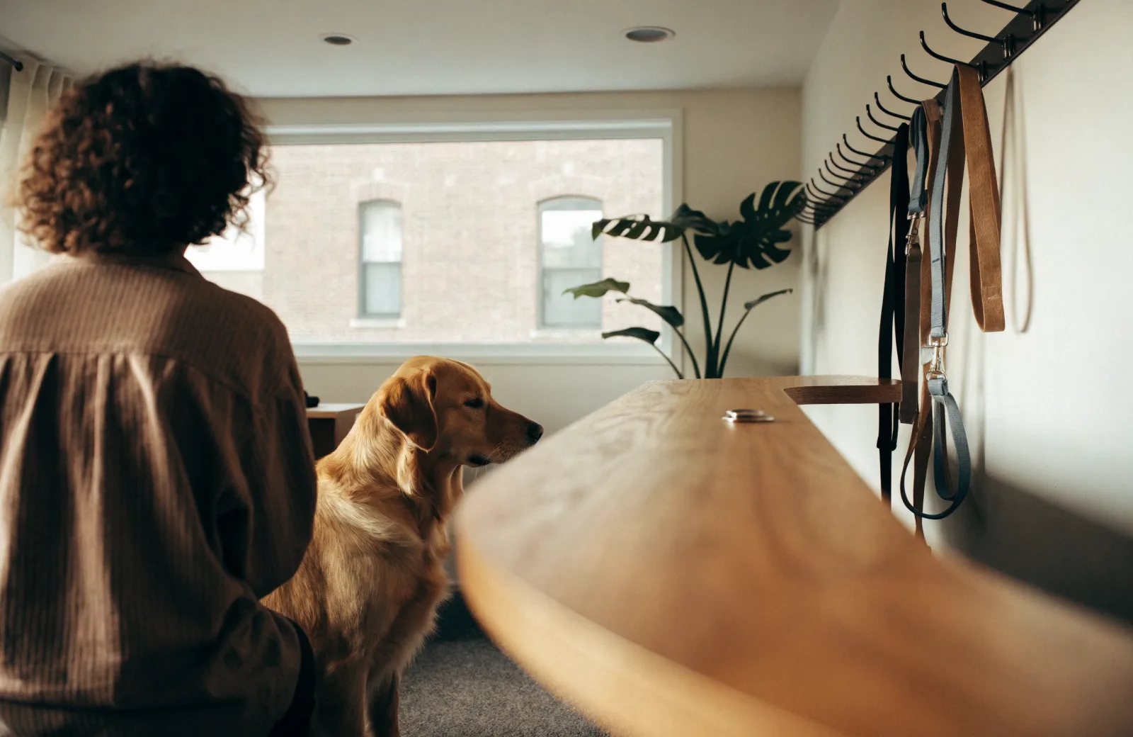 Golden retriever waiting with its owner at a daycare front desk before an assessment visit